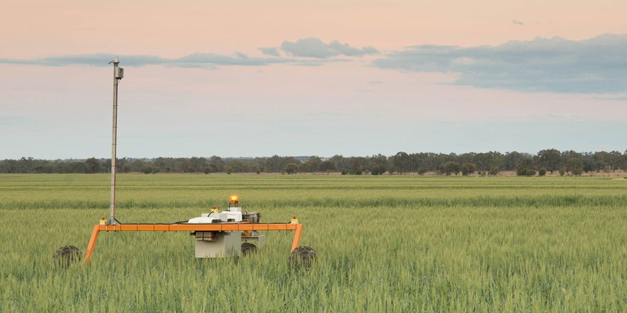 農(nóng)業(yè)行業(yè)